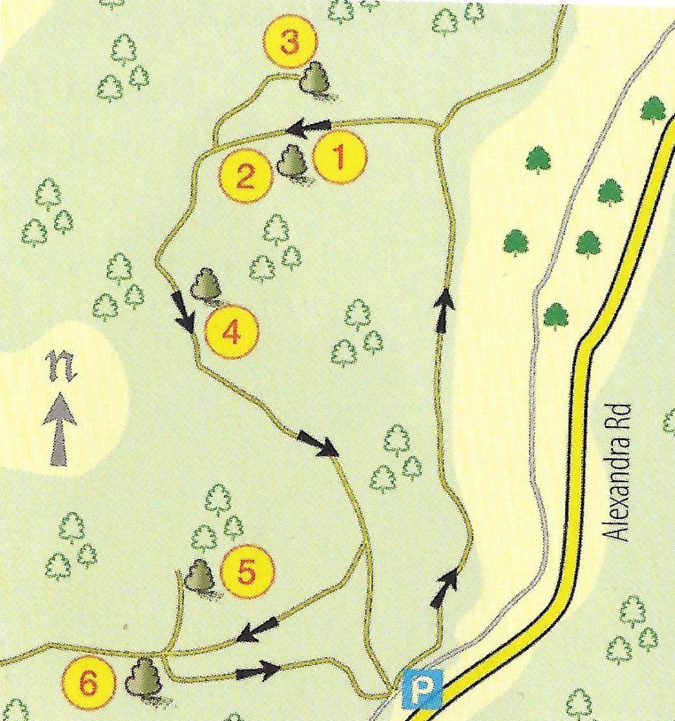 Mappa LOTR (1)