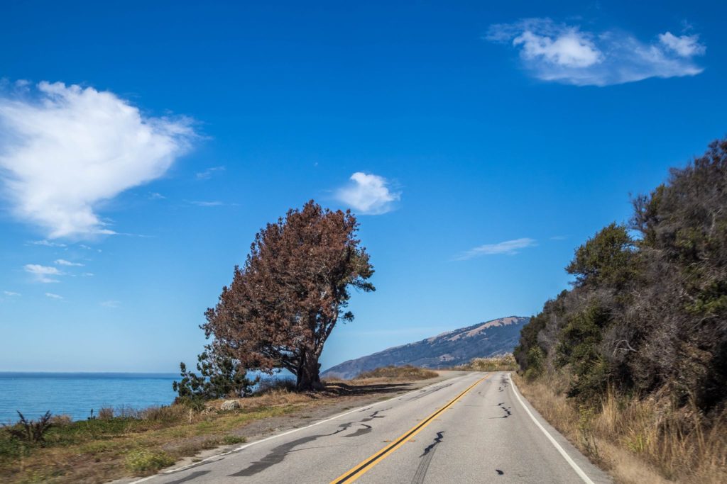 California: Big Sur, Highway 1. Lungo la splendida strada di Big Sur