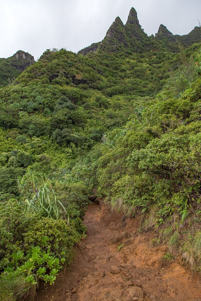 Kalalau trail